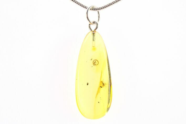 Polished Baltic Amber Pendant (Necklace) - Contains Two Flies! #288777